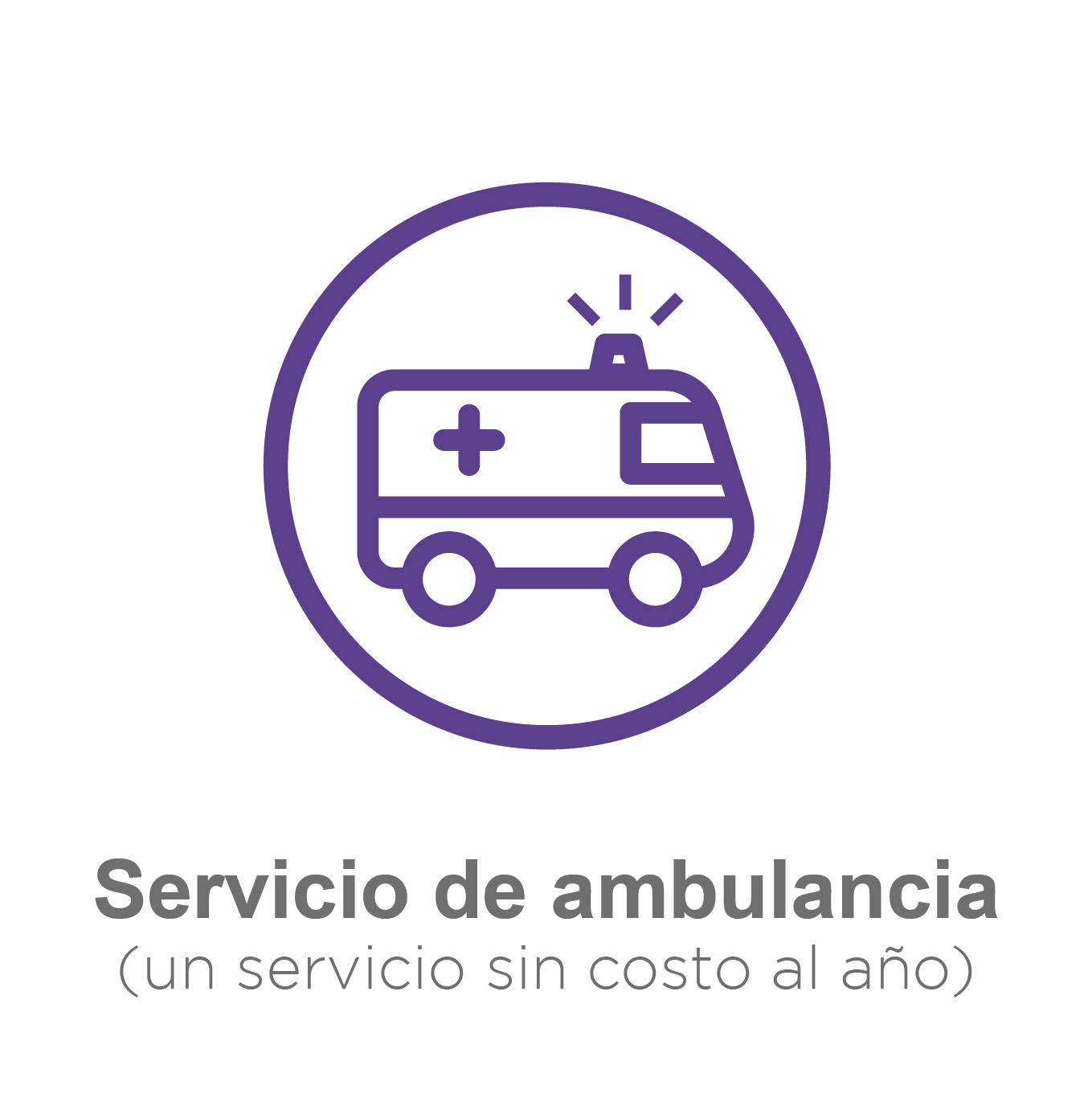 ambulacia gratis-08